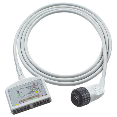 16 pin compatible con el cable de tronco del EKG de Kenz IEC/AHA para pacientes adultos y pediátricos
