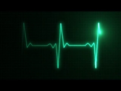 introducción de la compañía